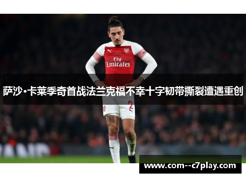 萨沙·卡莱季奇首战法兰克福不幸十字韧带撕裂遭遇重创