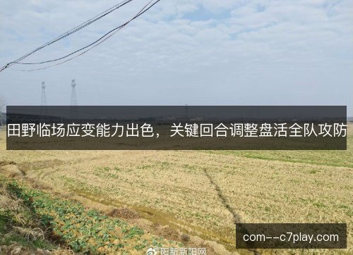 田野临场应变能力出色，关键回合调整盘活全队攻防